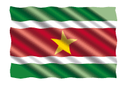 Surinaamse Catering Bestellen: Ontdek de Smaak van Suriname